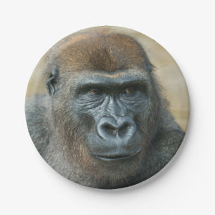 Gorilla Paper Plates