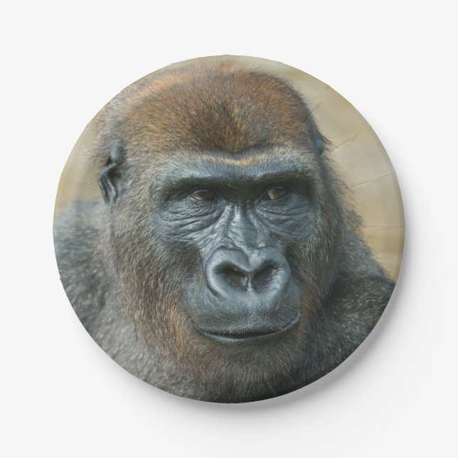 Gorilla Paper Plates (Front)