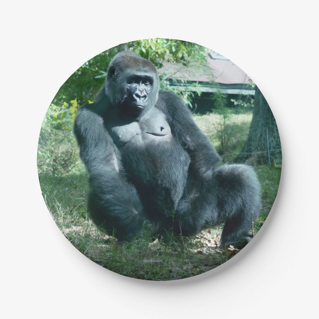 Gorilla Paper Plates Zazzle