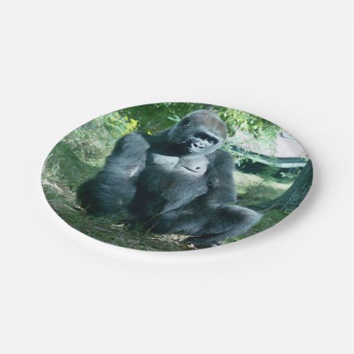 Gorilla Paper Plates Zazzle