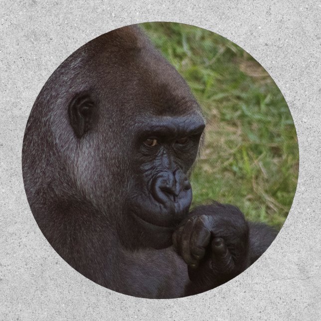 Gorilla Patch (Front)