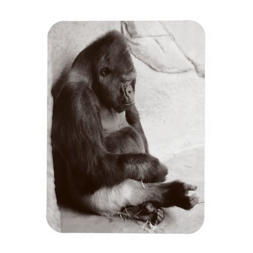 Gorilla Photography Sleeping Magnet
