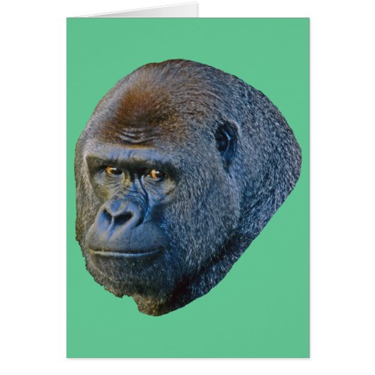 Gorilla Picture Cards (Front)