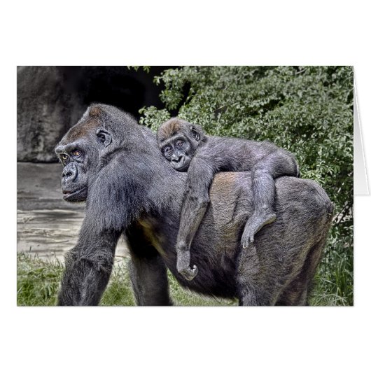 Gorilla "Piggyback" mom and baby #2 (Front Horizontal)