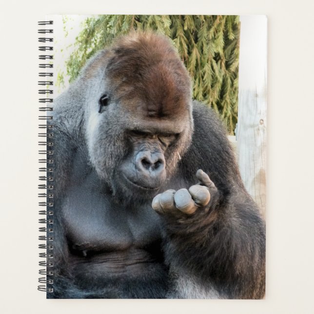 GORILLA PLANNER (Front)