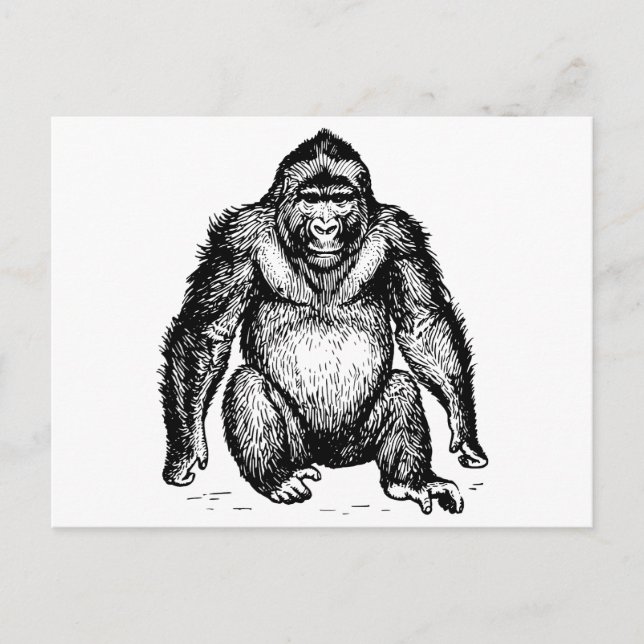 Gorilla Postcard (Front)