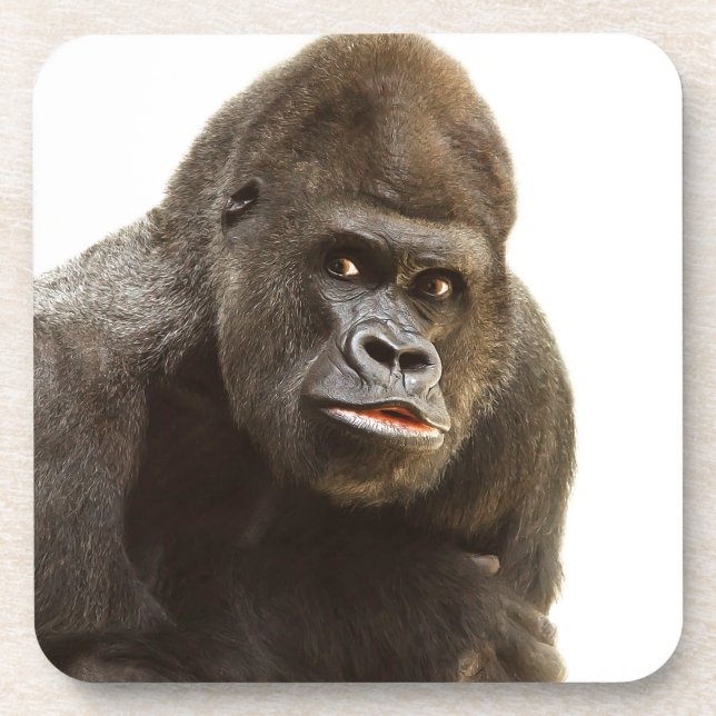 Gorilla Pout Drink Coaster (Front)