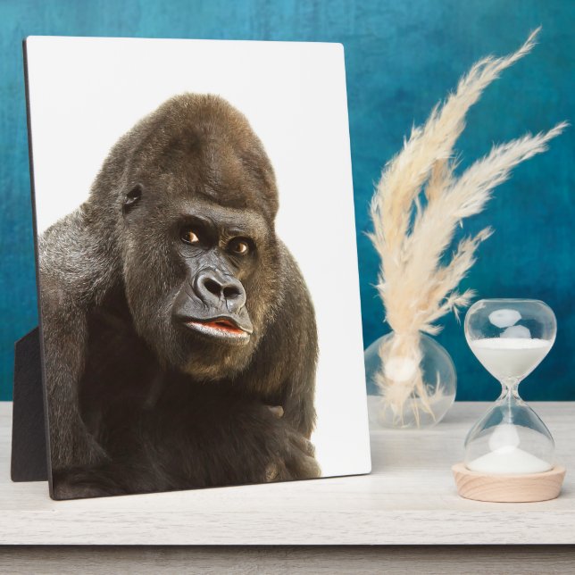Gorilla Pout Plaque (Side)