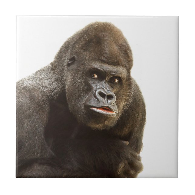 Gorilla Pout Tile (Front)