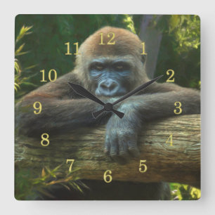 GORILLA PRAYER “SAVE OUR SPECIES” SQUARE WALL CLOCK