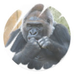Gorilla Primate Stickers