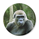 Gorilla Profile Magnet
