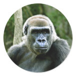 Gorilla Profile Stickers