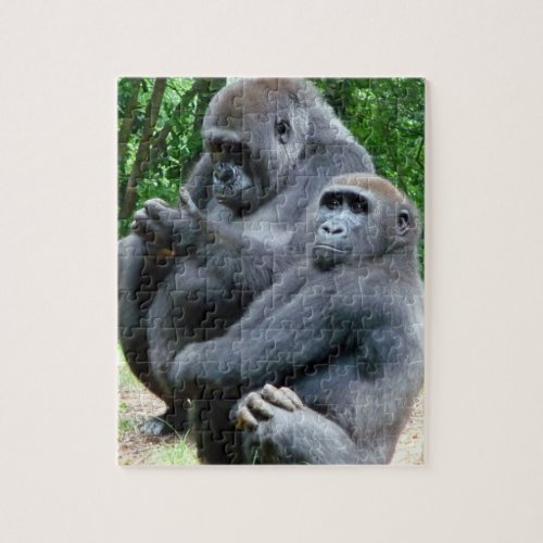 Gorilla Puzzle