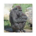 Gorilla Sitting Magnet