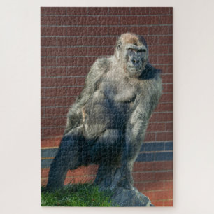 Gorilla Sitting On A Rock Jigsaw Puzzle