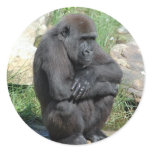 Gorilla Sitting Sticker