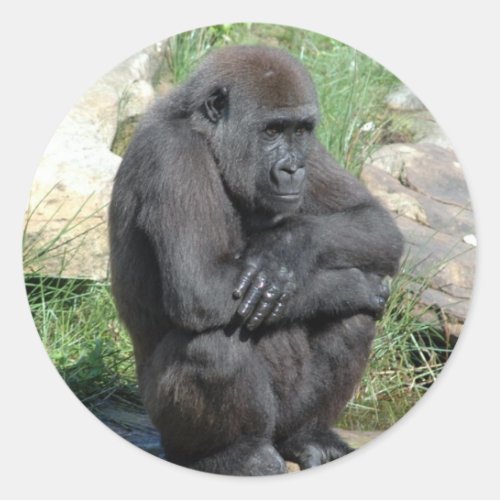 Gorilla Sitting Sticker
