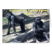 GORILLA SPAT CARDS (Front Horizontal)