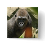 Gorilla Square Button