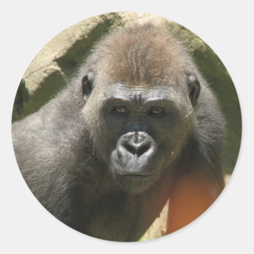 Gorilla Stickers