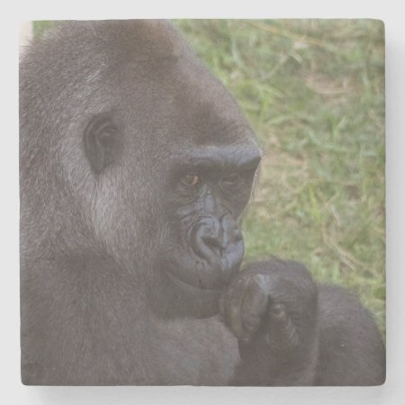 Gorilla Stone Coaster