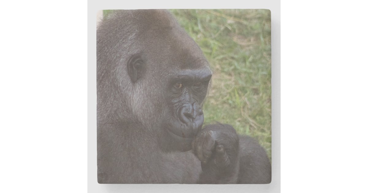 Gorilla Gift Box, Zazzle