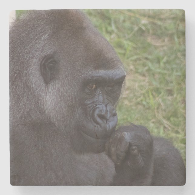 Gorilla Stone Coaster (Front)