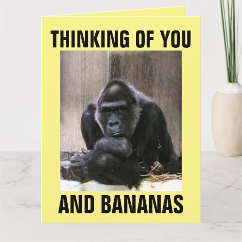 GORILLA THINKING OF YOU GREETING CARDS