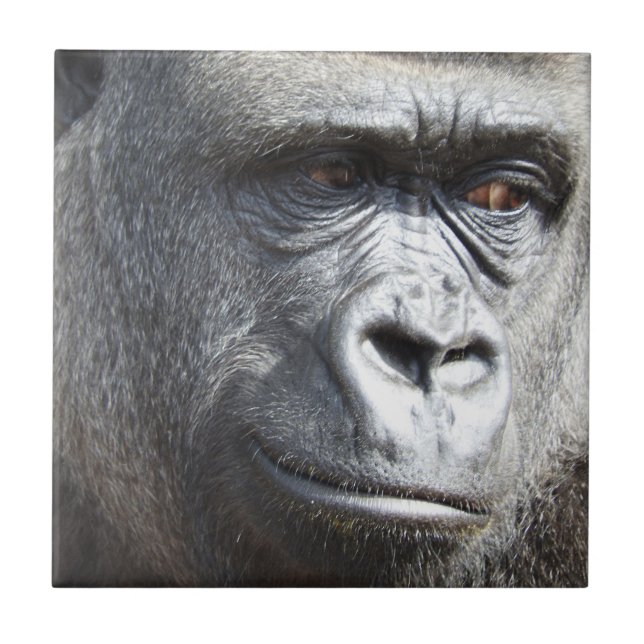 Gorilla Tile (Front)