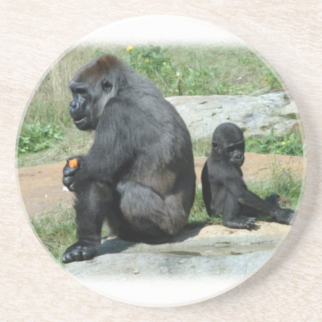 Gorilla Time Out  Coaster (Front)