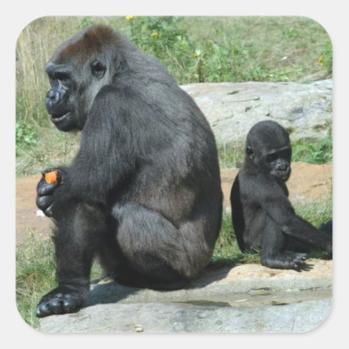 Gorilla Time Out Stickers