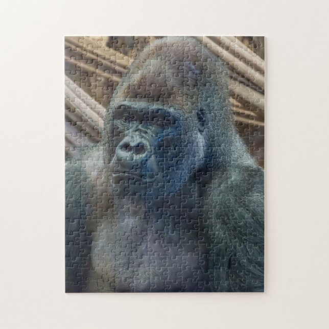 Gorilla up close puzzle (Vertical)