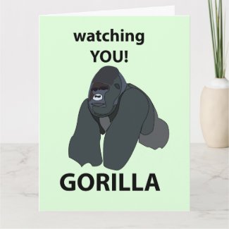 Gorilla Watching You Funny Gorilla