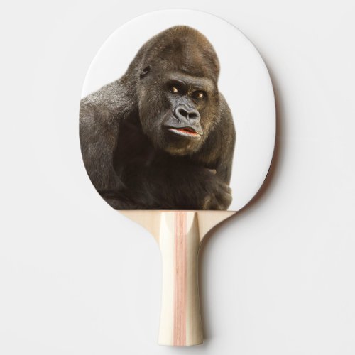 Gorilla wild jungle animal photo Ping_Pong paddle