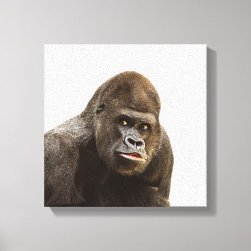 Gorilla wild jungle zoo animal photo canvas print