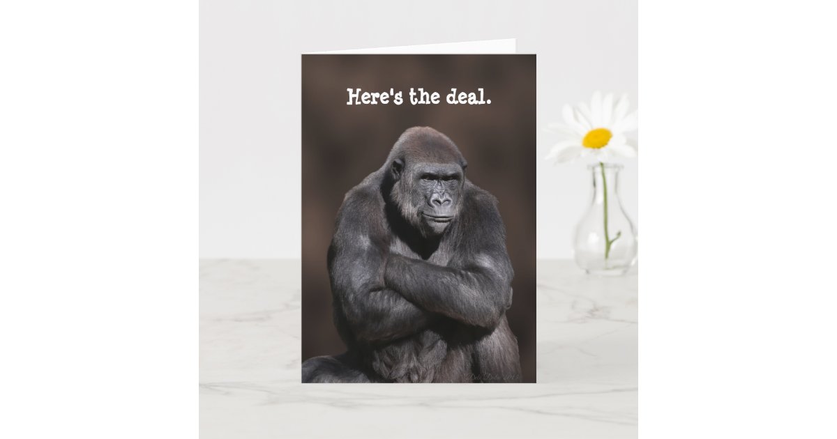 Gorilla Ape Card, Cute Greetings Card, Blank Cards With Envelope, Wildlife  Design Cards, Any Occasion Card, Gorilla Card, Gorilla Gifts -  Norway