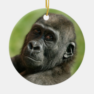 Gorilla Youngster Ceramic Ornament
