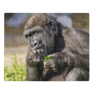 Gorilla Youngster Jigsaw Puzzle