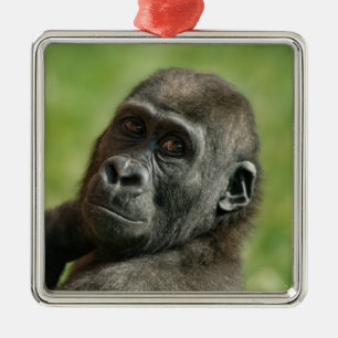 Gorilla Youngster Metal Ornament