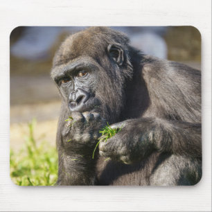Gorilla Youngster Mouse Pad