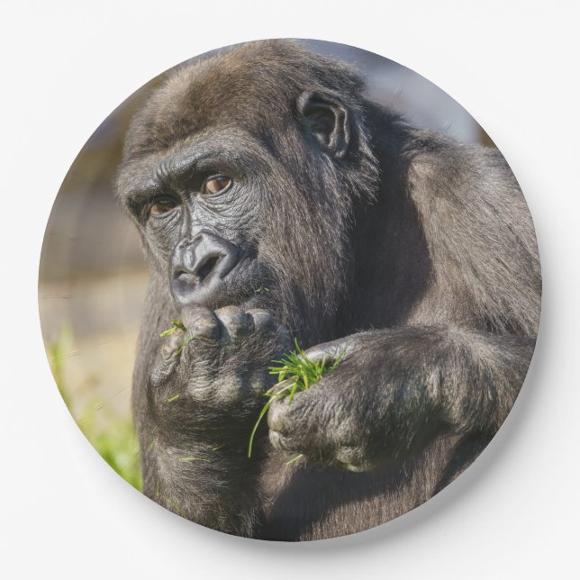 Gorilla Youngster Napkin Paper Plates (Front)