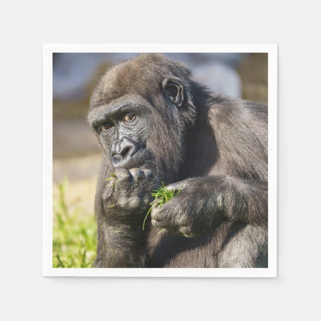 Gorilla Youngster Napkins (Front)