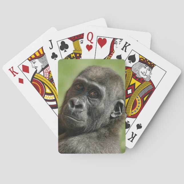Gorilla Youngster Poker Cards (Back)