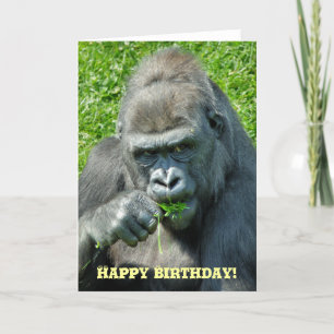 GORILLAS CARD