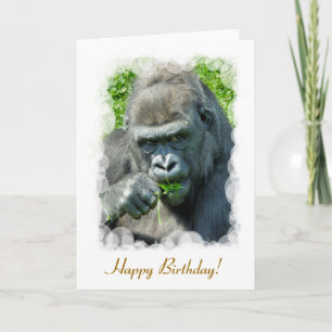 GORILLAS CARD