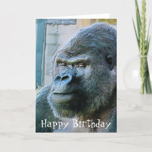 GORILLAS CARD