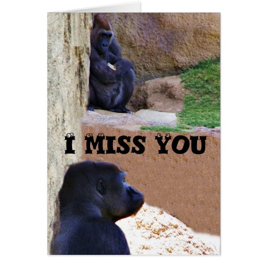 Gorillas_ Cards (Front)