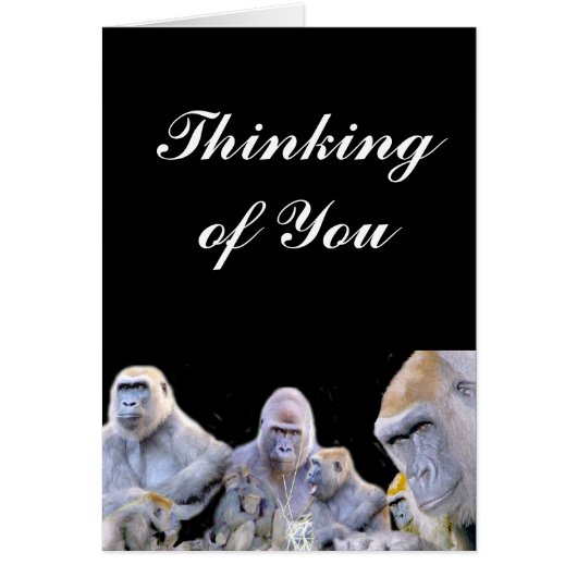 Gorillas & Chimpanzees_ Cards (Front)