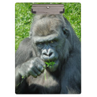 Gorilla Gift Box, Zazzle